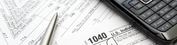 Individual Income Taxes